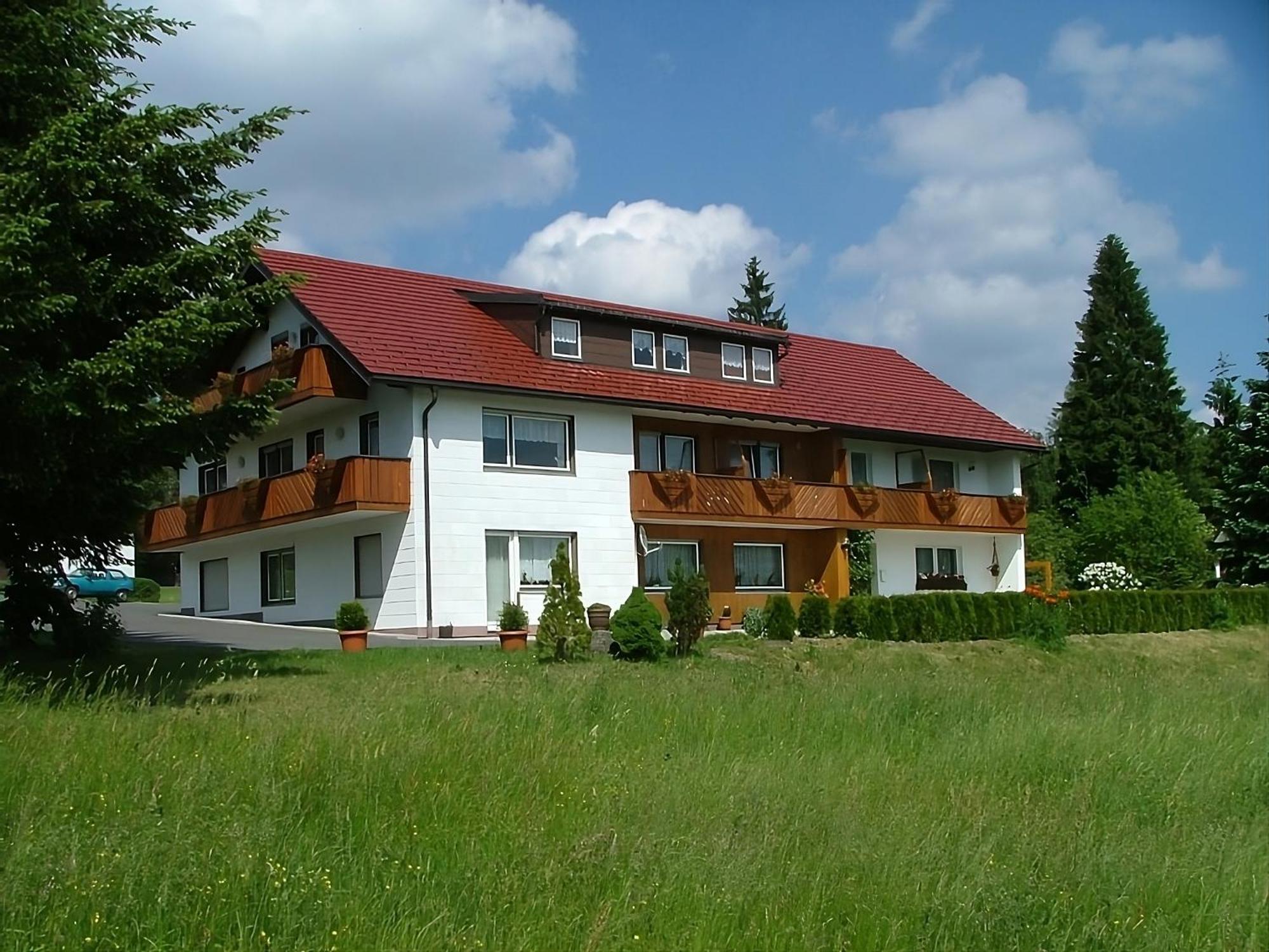 Апартаменты Haus Rosenbuehl Варменштайнах Экстерьер фото